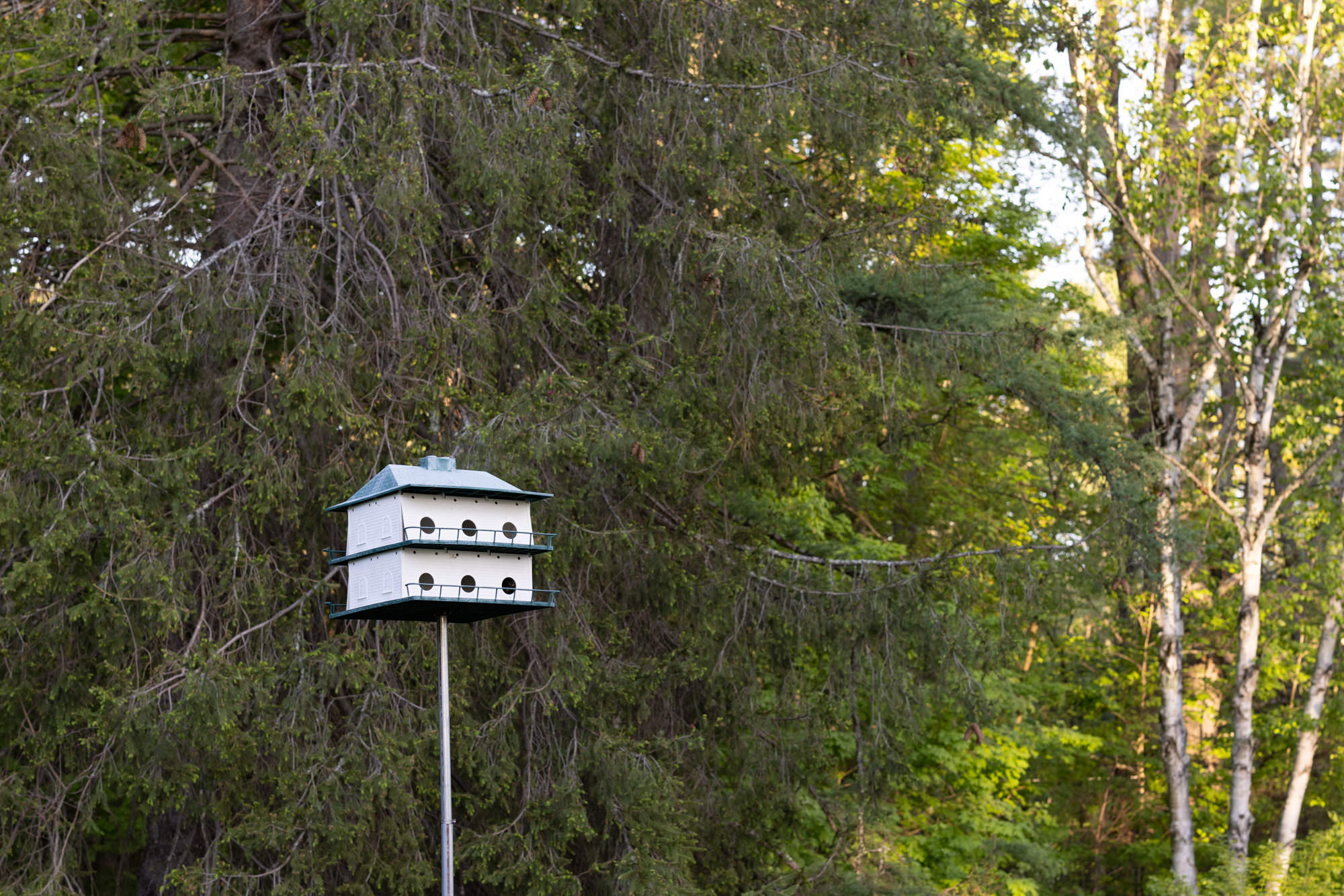 bird house